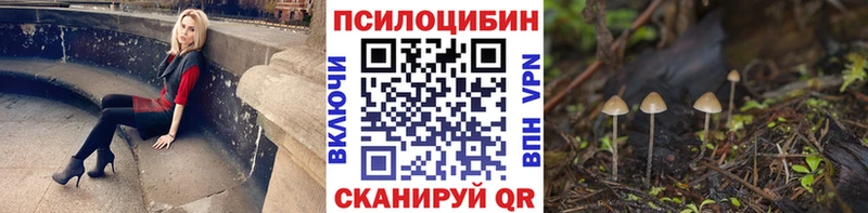 сколько стоит Болохово Галлюциногенные грибы мицелий