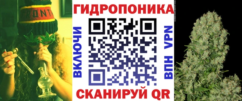 дарк нет какой сайт  Болохово  Шишки марихуана Ganja 